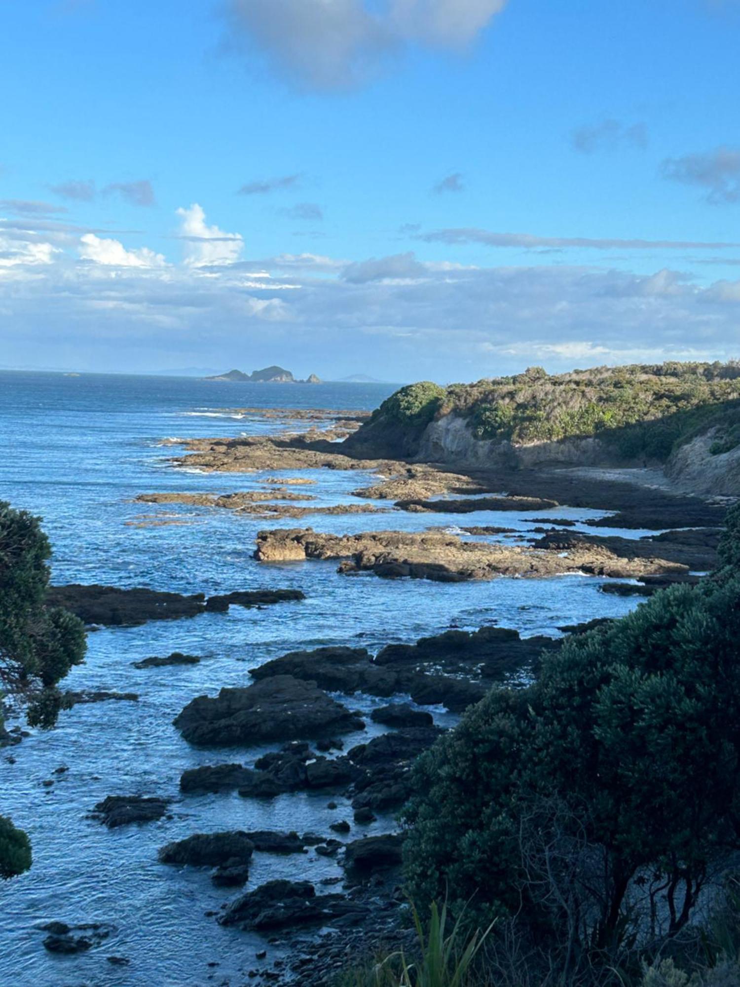 Green Turtle Cottage Pukenui Buitenkant foto